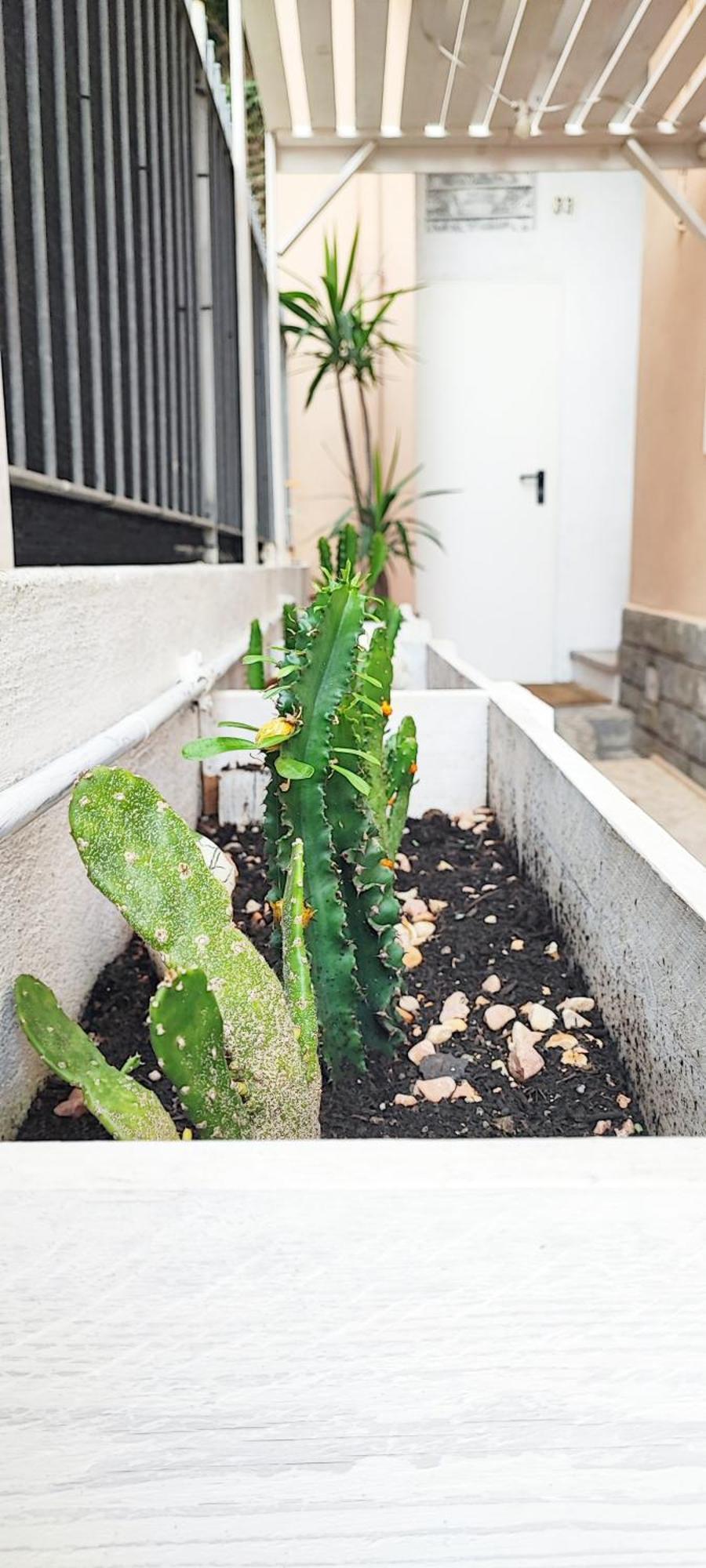 Residenza Bibliososta Apartamento Ventimiglia Exterior foto